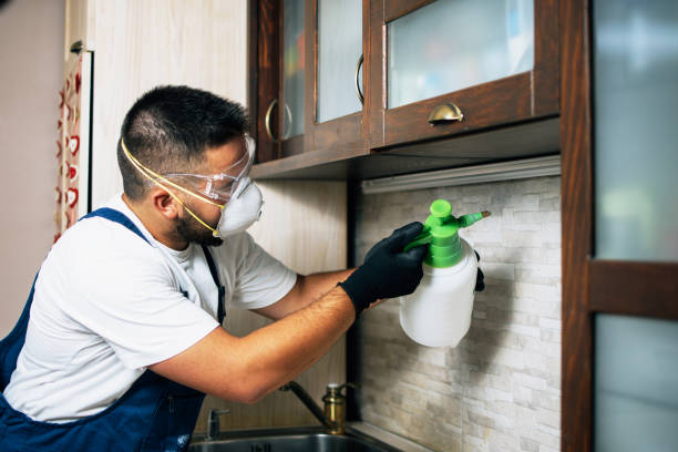 Best Residential Pest Control  in West Pleasant View, CO