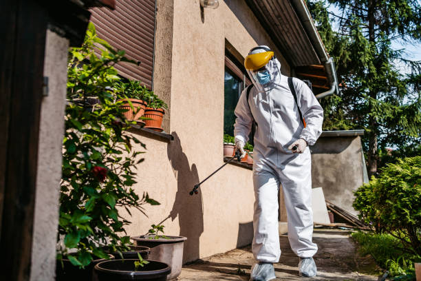 Pest Prevention Services in West Pleasant View, CO