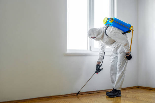 Best Commercial Pest Control Services  in West Pleasant View, CO