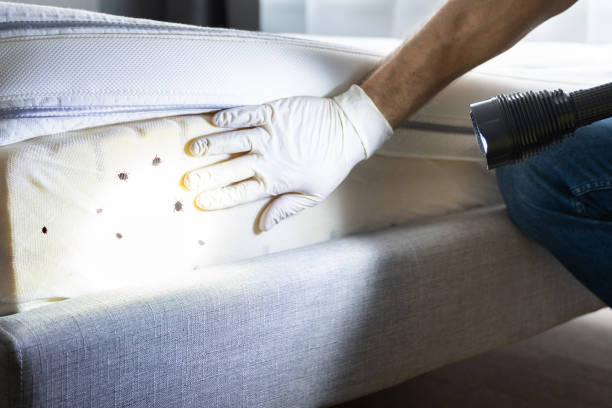 Best Pest Prevention Services  in West Pleasant View, CO