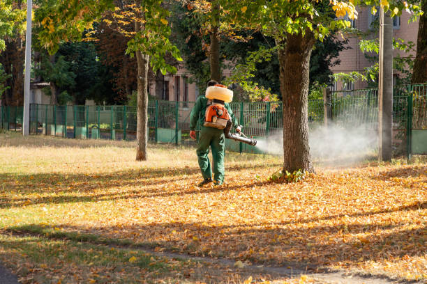 Pest Control for Restaurants in West Pleasant View, CO