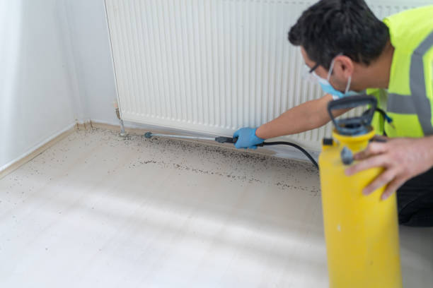 Best Pest Inspection Near Me  in West Pleasant View, CO